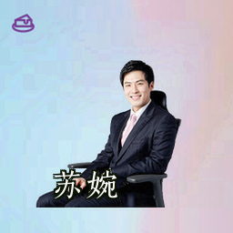 苏婉